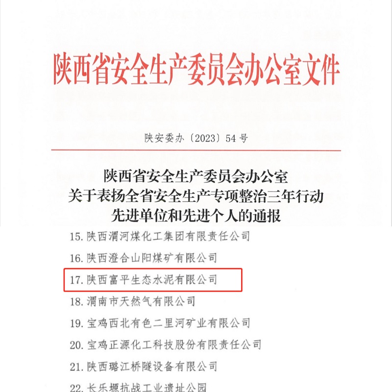 喜报！富平公司荣获“陕西省安全生产专项整治三年行动先进单位”称号！